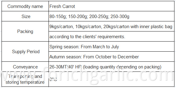 Fresh Carrot